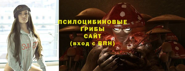 Альфа ПВП Алексин