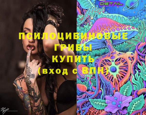 Альфа ПВП Алексин