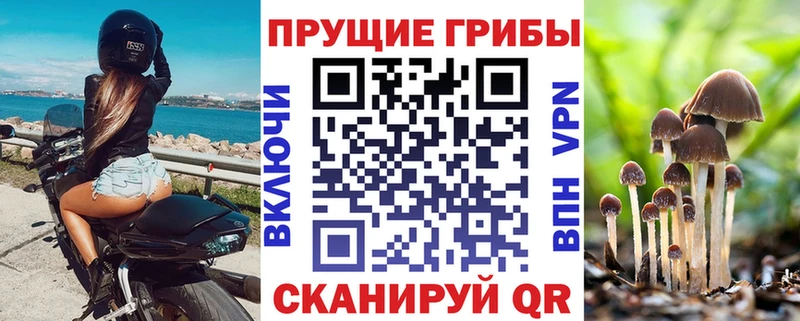 Псилоцибиновые грибы GOLDEN TEACHER  mega вход  Новороссийск 