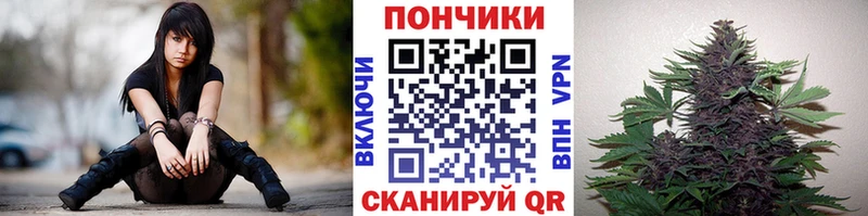 Бошки Шишки марихуана  где купить наркоту  Новороссийск 